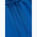 Herren-Shorts Pitbull Track Powers azure blue 5