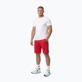 Herren-Shorts Pitbull Track Powers fluo/red 2