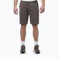 Herren-Shorts Pitbull Track Powers taupe