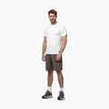 Herren-Shorts Pitbull Track Powers taupe 2