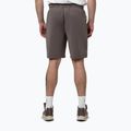 Herren-Shorts Pitbull Track Powers taupe 3