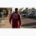 Herrenpullover Pitbull Track Jacket San Diego 15