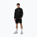Herrenpullover Pitbull Tape Parker Crewneck black 2