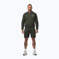 Herrenpullover Pitbull Tape Parker Crewneck old green 2