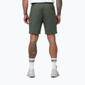 Herren-Shorts Pitbull Nugget Small Logo sage green 3