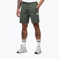 Herren-Shorts Pitbull Nugget Small Logo sage green 5