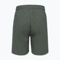 Herren-Shorts Pitbull Nugget Small Logo sage green 7