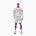 Herrenpullover Pitbull Badger Crewneck grey/melange 2