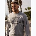 Herrenpullover Pitbull Badger Crewneck grey/melange 11