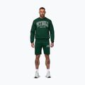 Herrenpullover Pitbull Badger Crewneck hunter/green 2