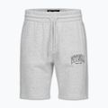 Herren-Shorts Pitbull Badger grey/melange 4
