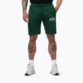 Herren-Shorts Pitbull Badger hunter green