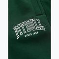 Herren-Shorts Pitbull Badger hunter green 9