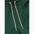 Herrenhose Pitbull Nexus Track bottle green 7