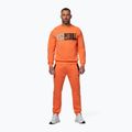 Herrenpullover Pitbull USA Crewneck Sweatshirt fluo orange 2