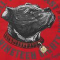 Herrenpullover Pitbull Strenght & Respect Sweatshirt Hooded red 9