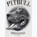 Herrenpullover Pitbull Midnight Sweatshirt Hooded off white 9