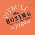 Herrenpullover Pitbull Bloodline 2 Sweatshirt Hooded fluo orange 8