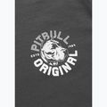 Herren-Shirt Pitbull Dog SD graphite 8
