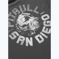 Herren-Shirt Pitbull Dog SD graphite 9