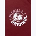 Herren-Shirt Pitbull Dog SD burgundy 7