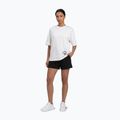 Damenpullover Pitbull Skull Oversize white 2