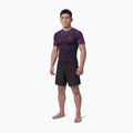 Herren-Rashguard Pitbull Belt Rashguard purple 2