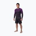Rashguard Langarmshirt für Herren Pitbull Belt Rashguard purple 2