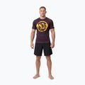 Herren-Shirt Pitbull Rashguard Logo Palms brown 2