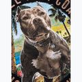 Damen-T-Shirt Pitbull Beach Girl black 11