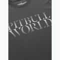 Herren-Shirt Pitbull World graphite 4