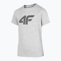 Kinder-T-Shirt 4F HJZ22-JTSM002 grau 3