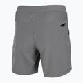 Herren 4F Trainingsshorts H4Z22-SKMF010 grau 4