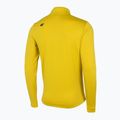 Herren Thermoaktiv-Sweatshirt 4F BIMD030 lemon 6