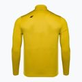 Herren Thermoaktiv-Sweatshirt 4F BIMD030 lemon 3