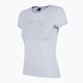 Damen-Trekking-T-Shirt 4F blau H4Z22-TSD016 2