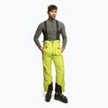 Herren 4F Skihose grün H4Z22-SPMN001