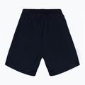 Herren Shorts 4F Functional dunkelblau S4L21-SKMF55-31S 2