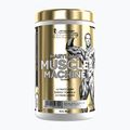 Pre-Workout-Booster Fitness Authority Levrone Gold Maryland Muscle Machine 385 g fruit punch
