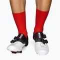 LUXA Classic Fahrradsocken rot LUHE21SCRS 2