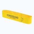 FORCEBAND Mini Band Set mit Übungsbändern 5 Stk. + E-BOOK mehrfarbig 3