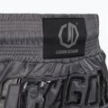 Trainingsshorts Octagon Kickboxing/Muay Thai Legion Future Premium black/grey 5