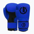 Boxhandschuhe Octagon Legion Enforcer + dark blue bag 2