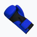 Boxhandschuhe Octagon Legion Enforcer + dark blue bag 4
