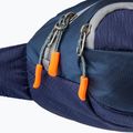 BERGSON Delta Plus Nierentasche navy 3