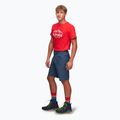 Alpinus Ferrera Herren-Trekking-Shorts navy blau 2
