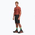 Herren-Trekking-Shorts Alpinus Ferrera schwarz 2