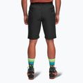 Herren-Trekking-Shorts Alpinus Ferrera schwarz 3