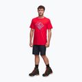 Alpinus Skilbrum Herren-T-Shirt rot 2