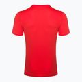 Alpinus Skilbrum Herren-T-Shirt rot 7